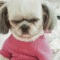 박명수